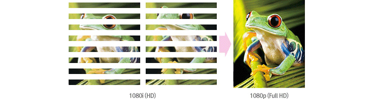 1080i(HD)와 1080p(full hd)의 개구리 모습 화질비교